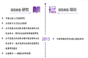 美女爆艹播放网站非评估类项目发展历程